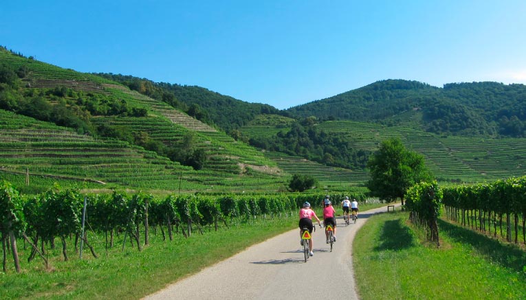 Bzaq-czechrepublic-biking-1